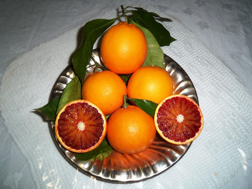 taroccoo